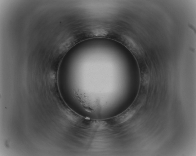 X0000097890321200803141338