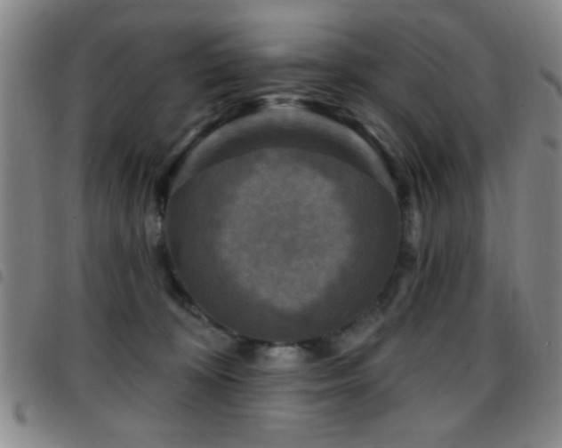 X0000097890324200803141338