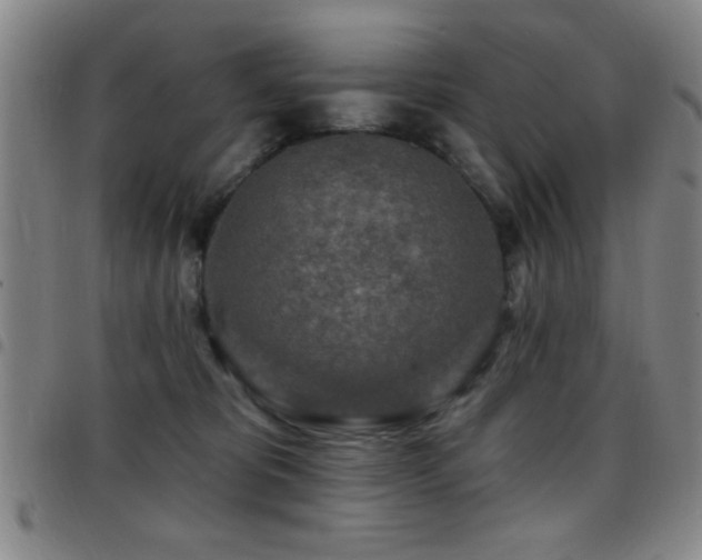X0000097890325200803141338