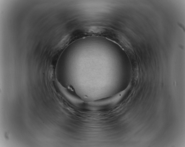 X0000097890328200803141338