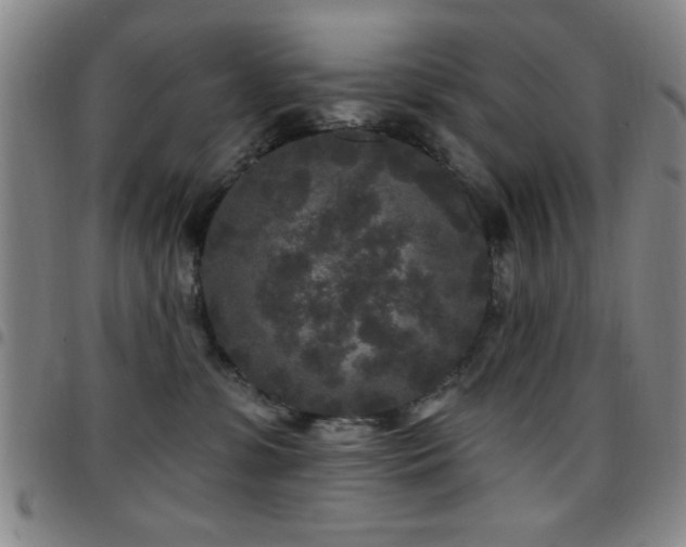 X0000097890331200803141338