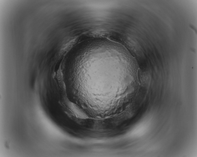 X0000097890335200803141338