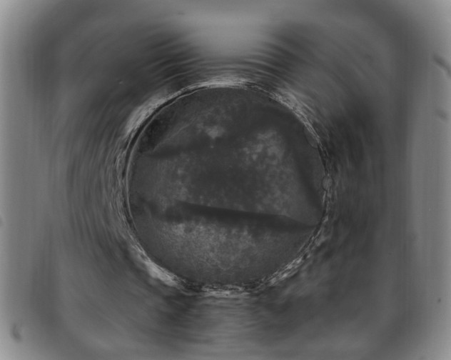 X0000097890337200803141338