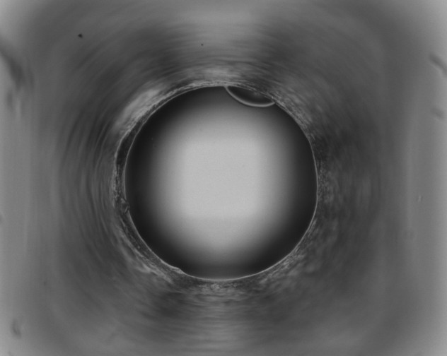 X0000097890338200803141338