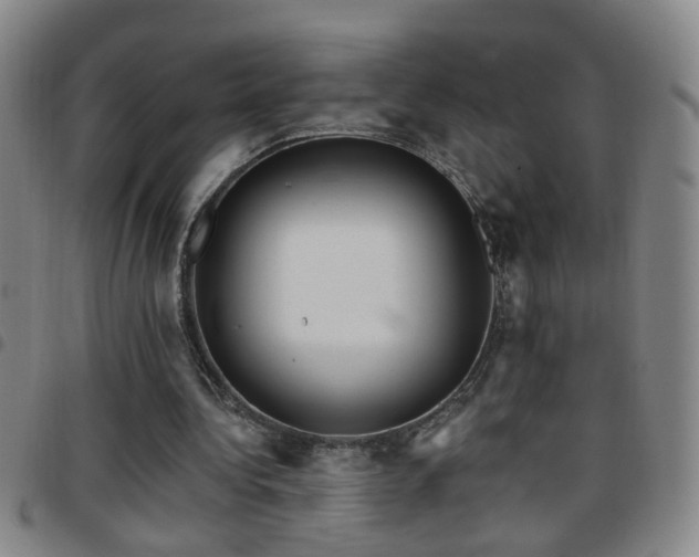 X0000097890340200803141338