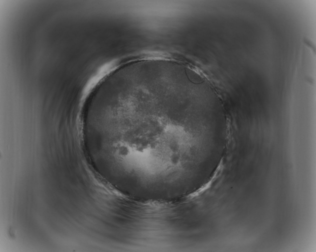 X0000097890343200803141338