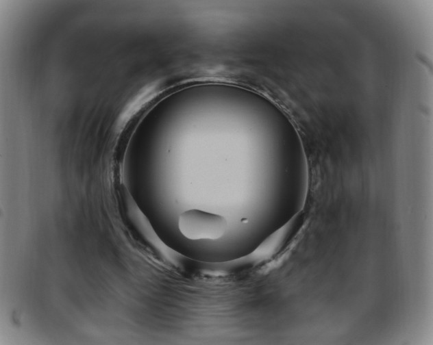 X0000097890344200803141338