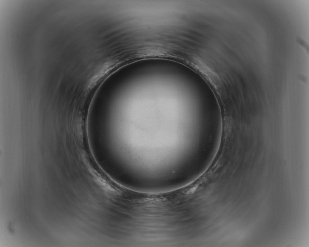 X0000097890345200803141338