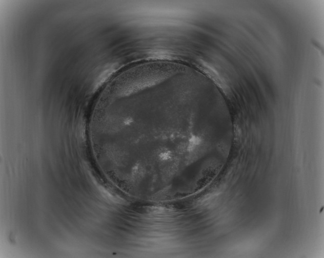 X0000097890347200803141338