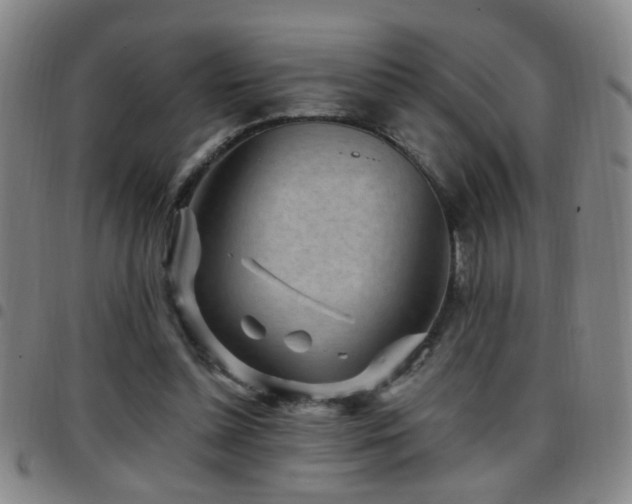 X0000097890348200803141338