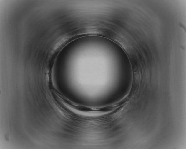 X0000097890350200803141338