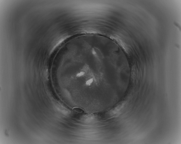 X0000097890351200803141338