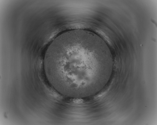 X0000097890355200803141338