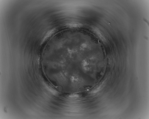 X0000097890357200803141338