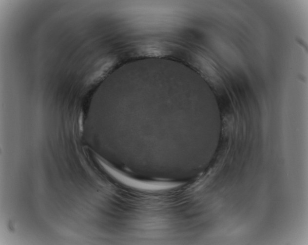 X0000097890358200803141338