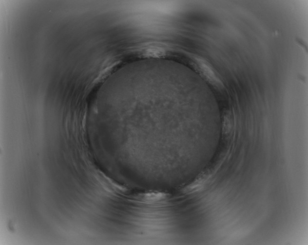 X0000097890363200803141338