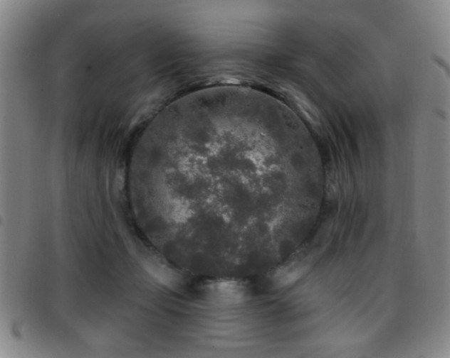 X0000097890365200803141338
