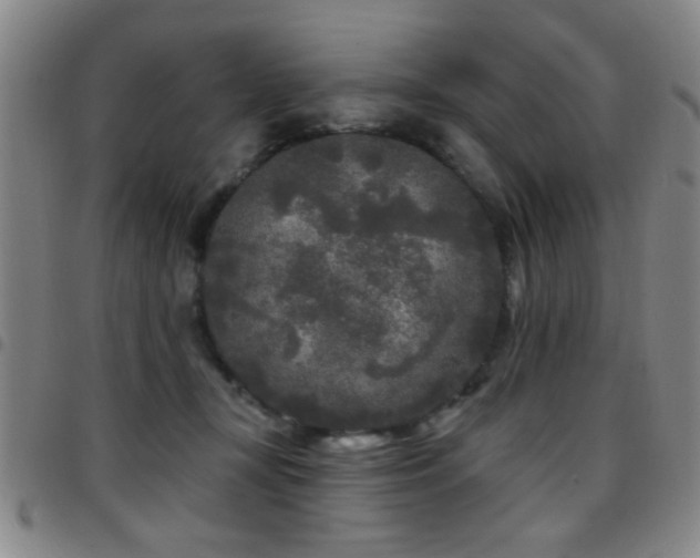 X0000097890367200803141338