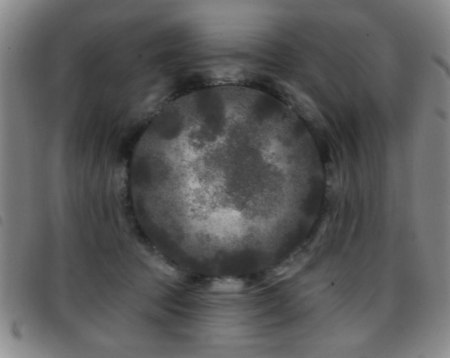 X0000097890369200803141338