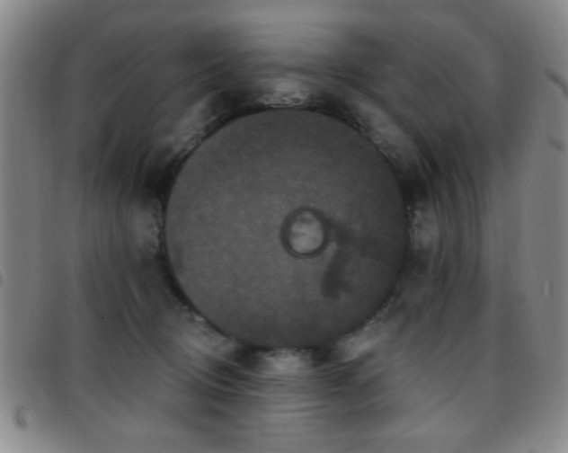 X0000097890370200803141338