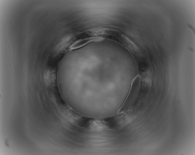 X0000097890372200803141338