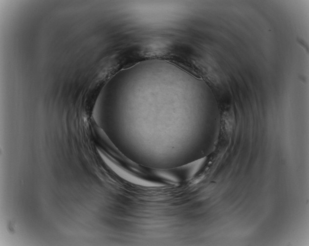 X0000097890380200803141338