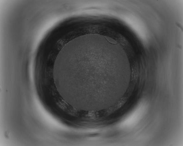 X0000097890383200803141338