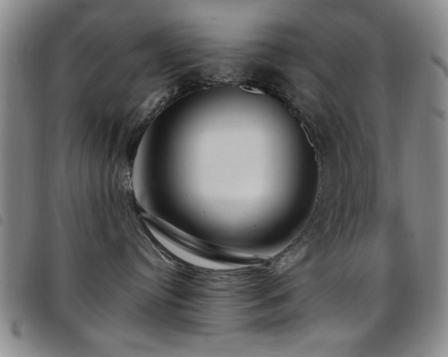 X0000097890384200803141338