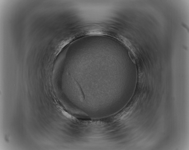 X0000097890385200803141338