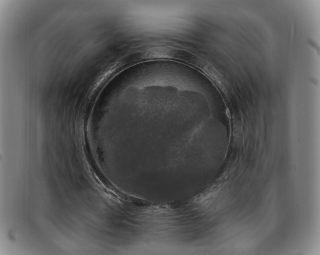 X0000097890386200803141338