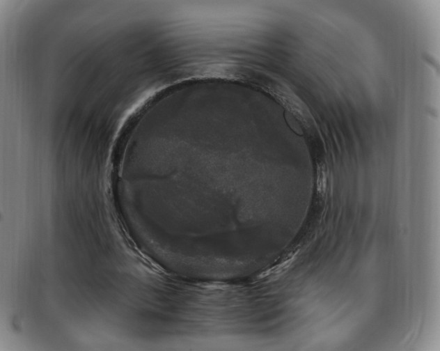 X0000097890388200803141338