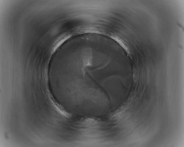 X0000097890390200803141337