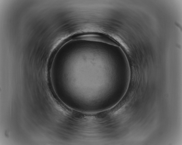 X0000097890391200803141337
