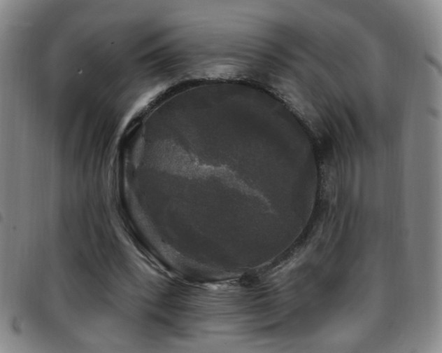 X0000097890392200803141337