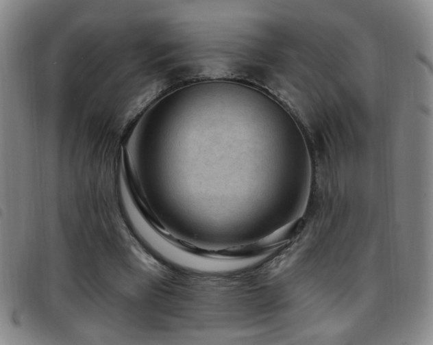 X0000097890393200803141337