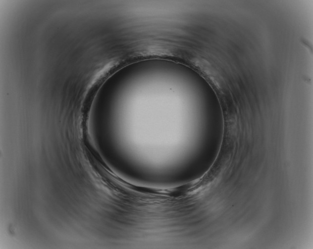 X0000097890395200803141337