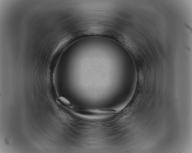 X0000097890396200803141337