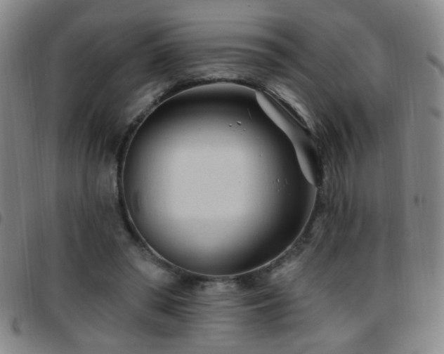X0000097890398200803141337