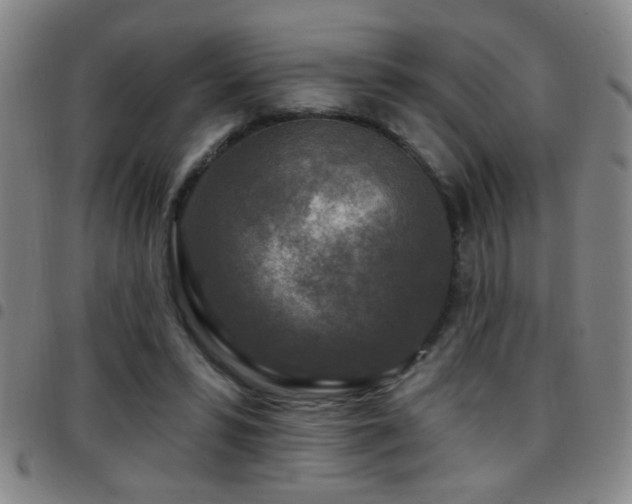 X0000097890399200803141337