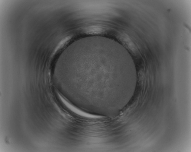 X0000097890400200803141337