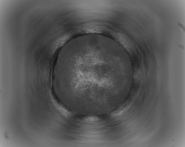 X0000097890402200803141337