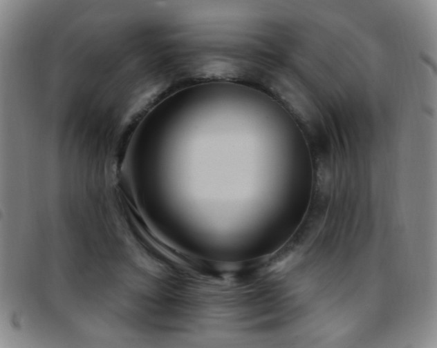 X0000097890403200803141337