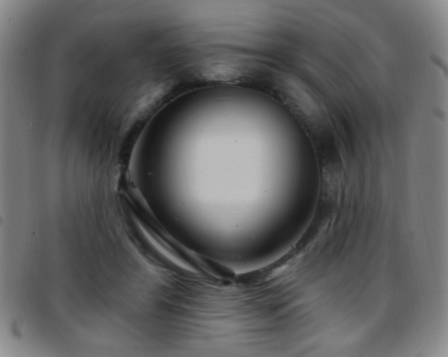X0000097890404200803141337