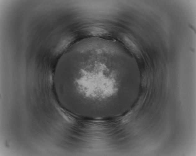 X0000097890405200803141337