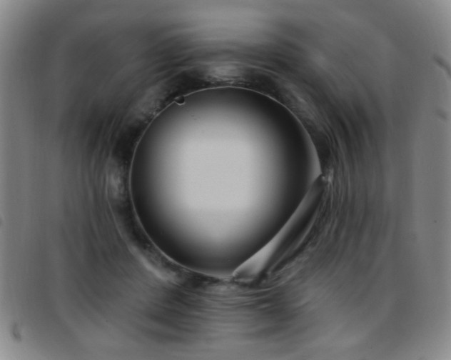 X0000097890408200803141337