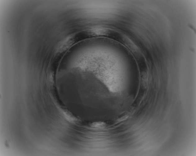 X0000097890410200803141337