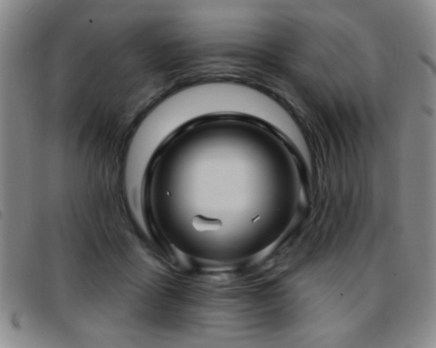 X0000097890411200803141337