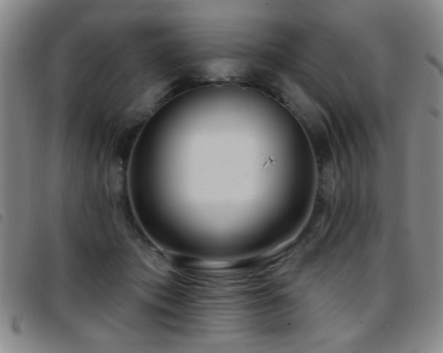 X0000097890413200803141337
