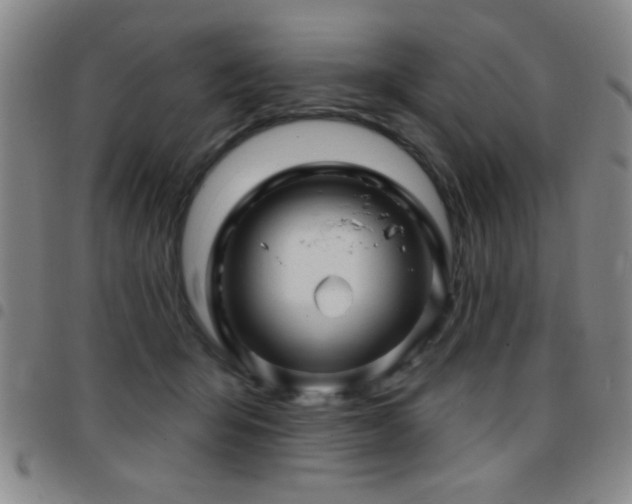 X0000097890415200803141337