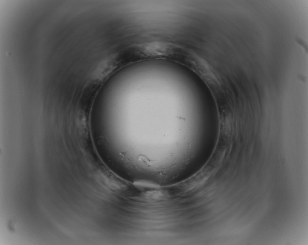 X0000097890418200803141337